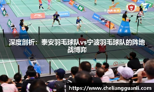 深度剖析：泰安羽毛球队vs宁波羽毛球队的阵地战博弈