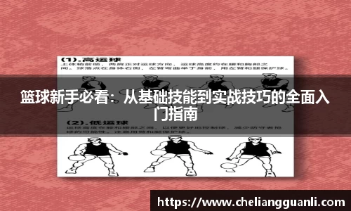 篮球新手必看：从基础技能到实战技巧的全面入门指南